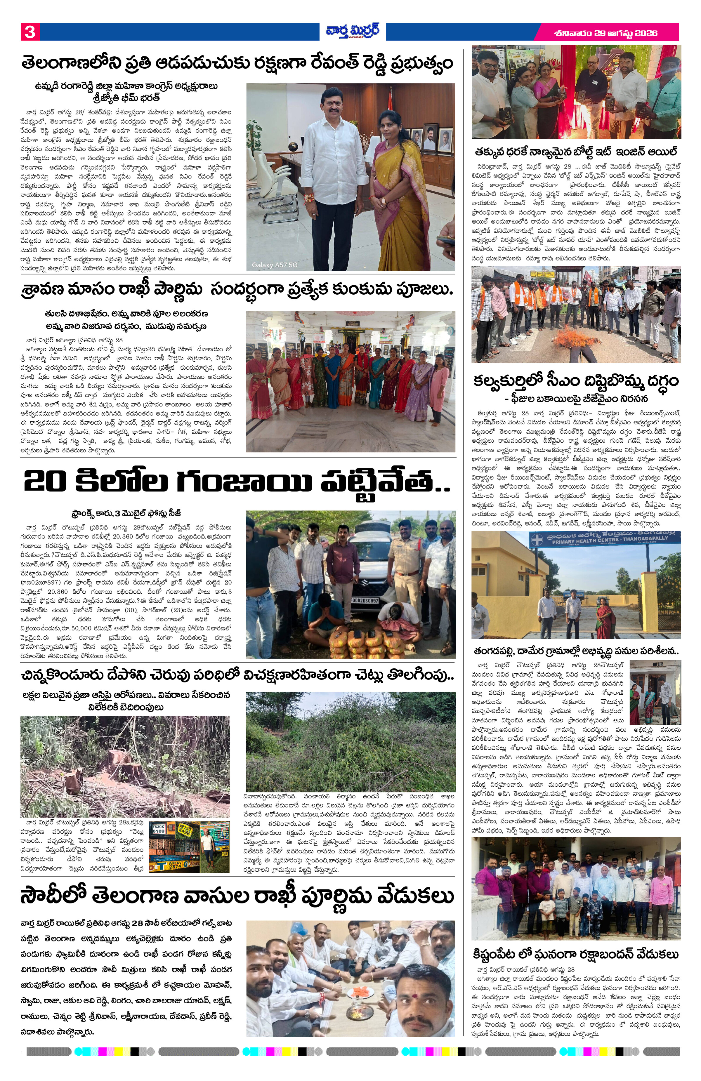 Page 3 thumbnail
